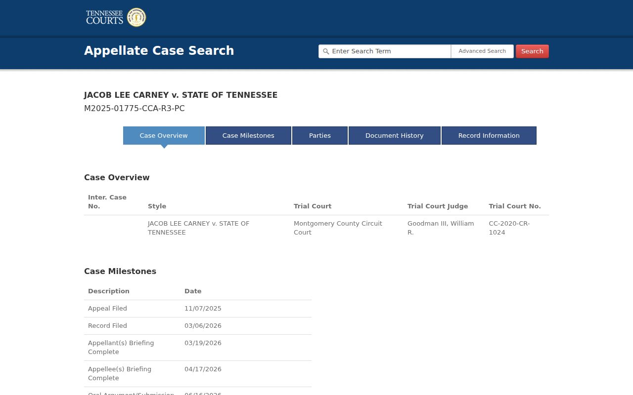 Stewart County criminal docket appellate detail field layout